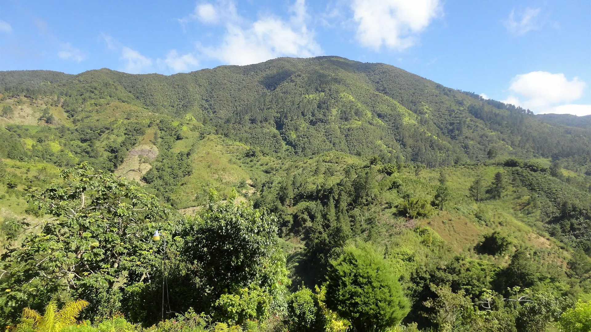 Starlight Chalet 4*, Blue Mountains Jamaica