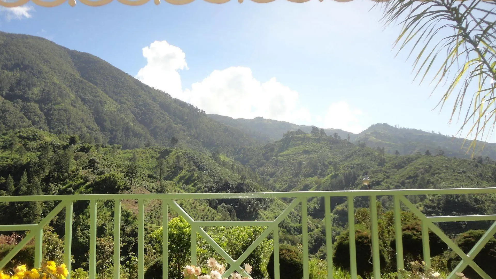 Starlight Chalet 4*, Blue Mountains Jamaica